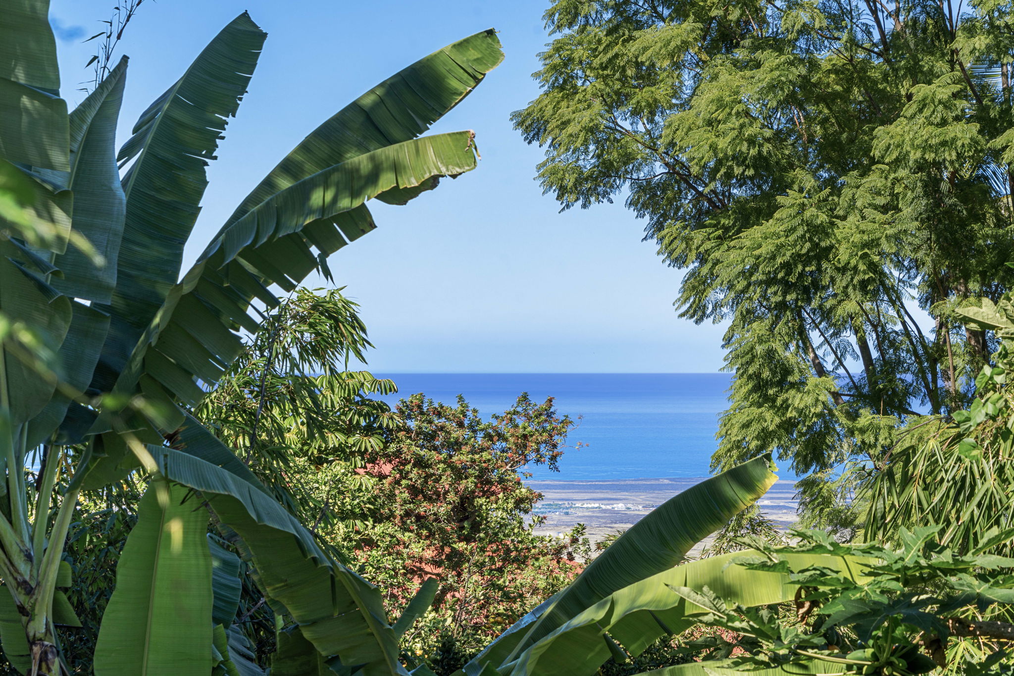 Ocean Views 2