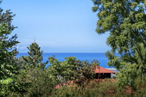 Ocean Views 1