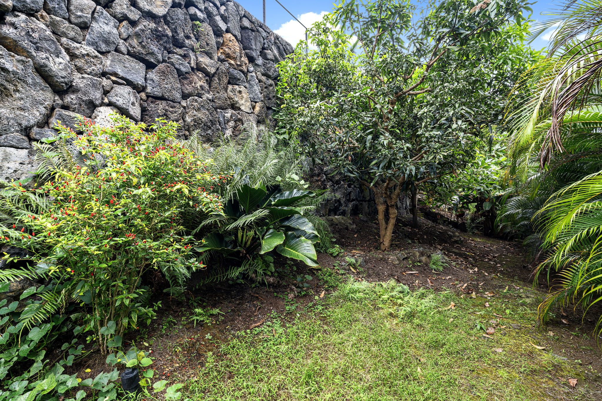 Lower Yard b