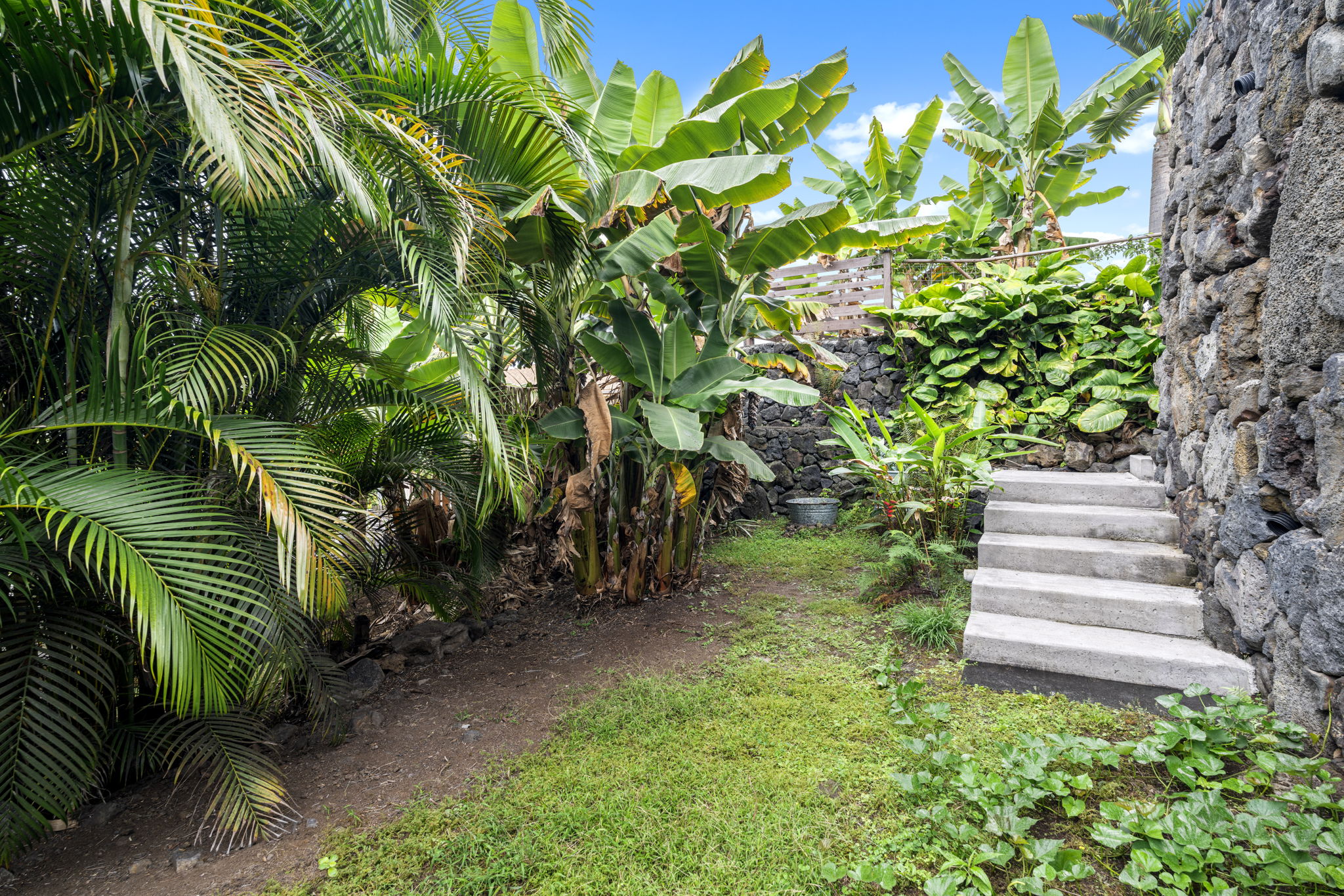 Lower Yard c