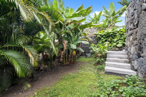 Lower Yard c