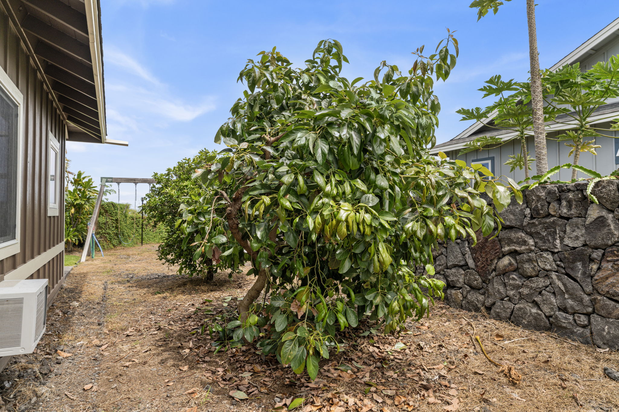 Side Trees