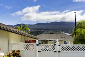 Mountain Views