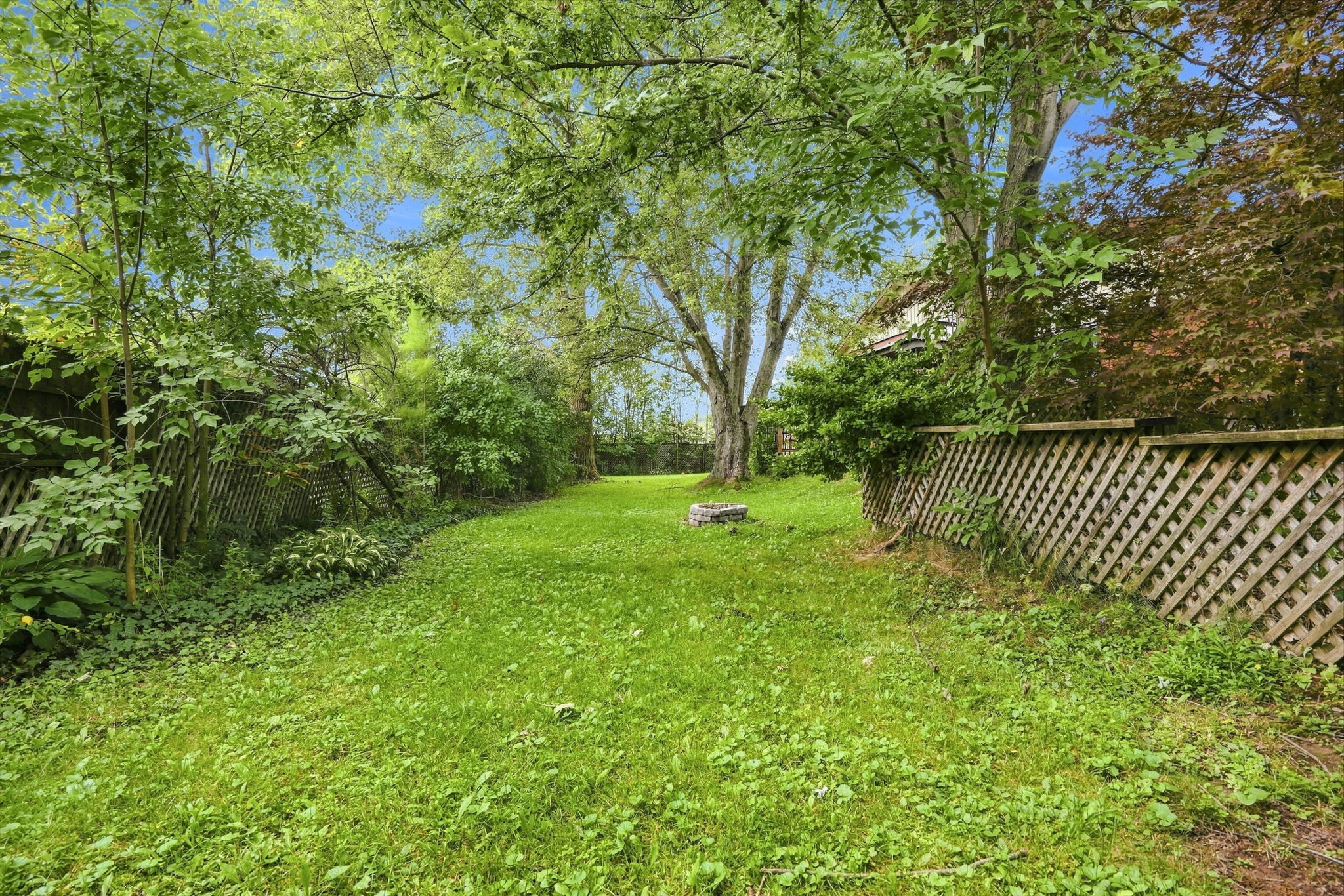  Photo 45