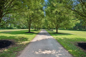 Greenmount 32