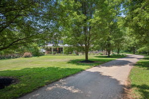 Greenmount 33