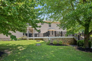 Greenmount 63