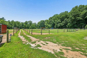 Greenmount 81