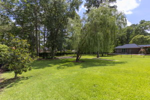  Photo 49