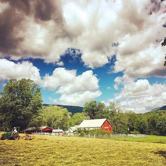 View of Farm Next Door