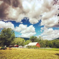 View of Farm Next Door