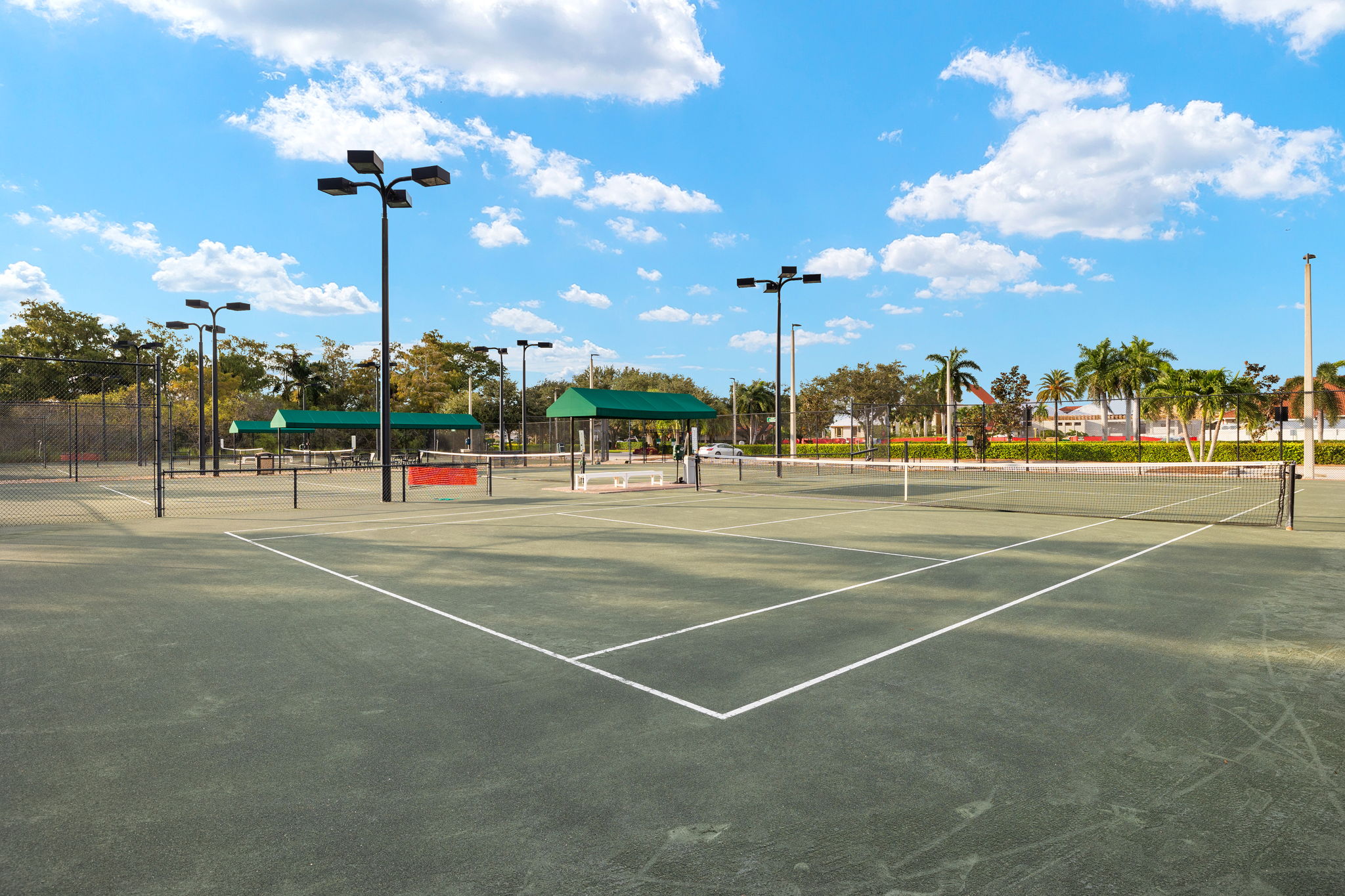 Pickleball Court