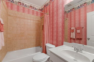  Photo 49