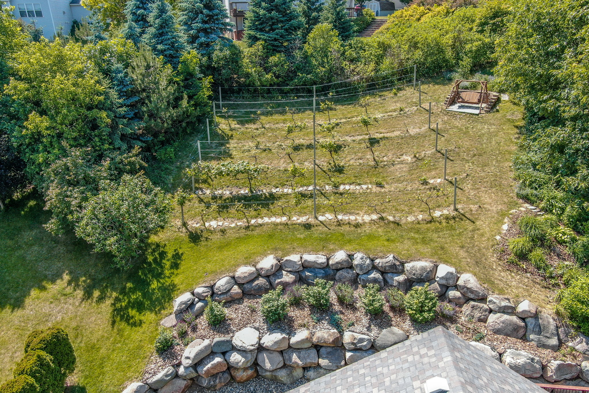 Aerial Back Yard