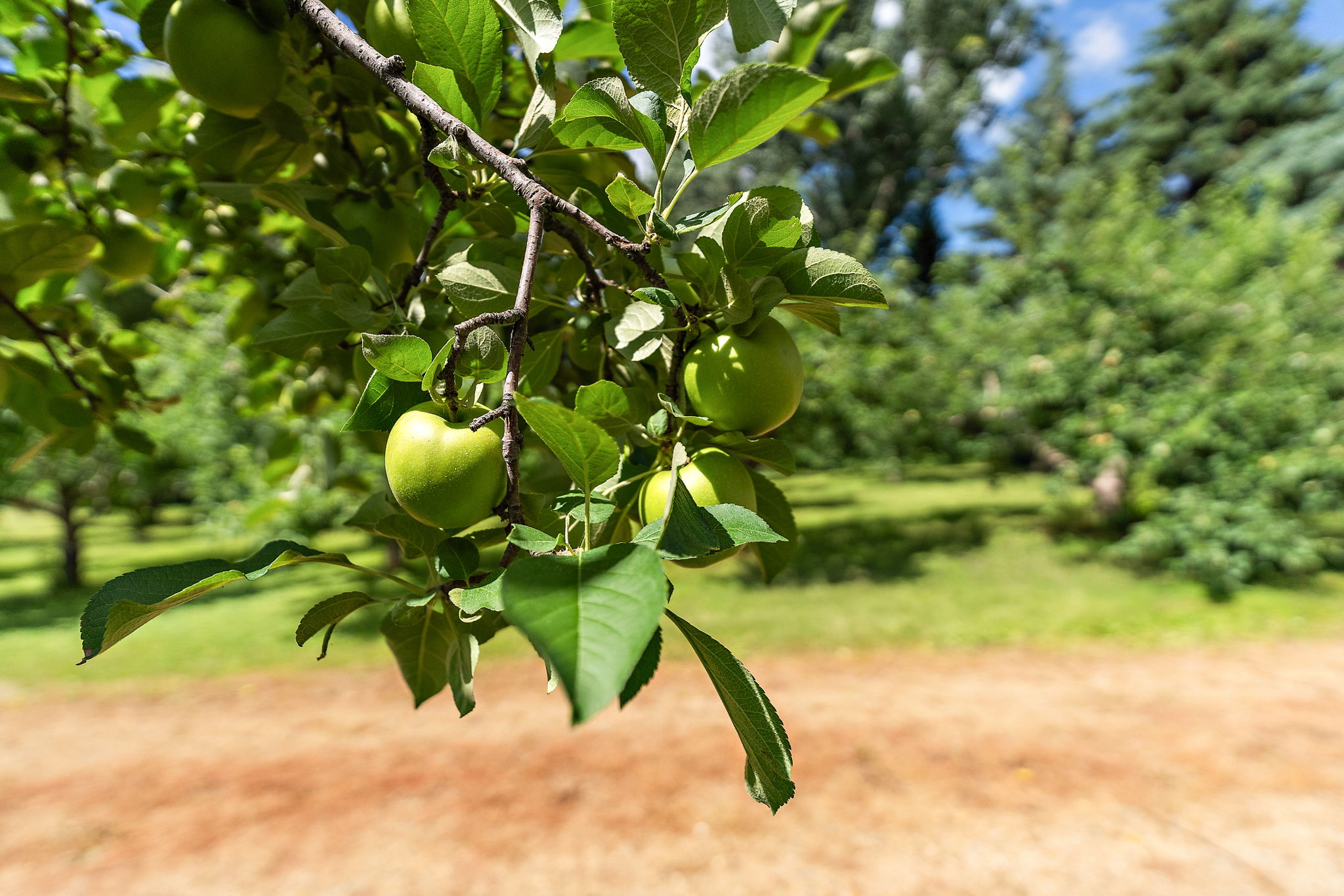 UAV Vision Media (70)