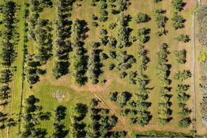 UAV Vision Media (87)