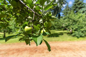 UAV Vision Media (70)