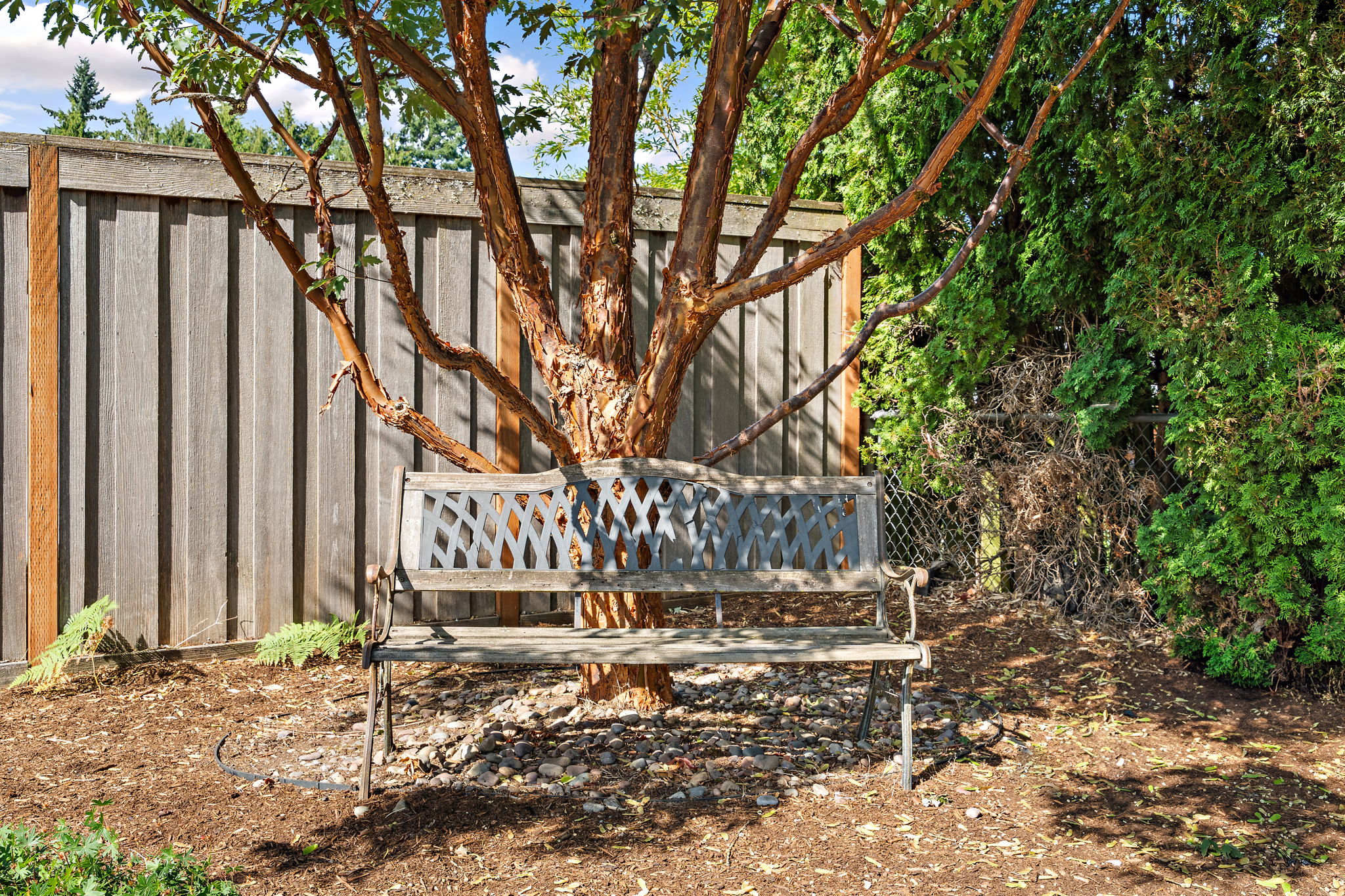  Photo 40