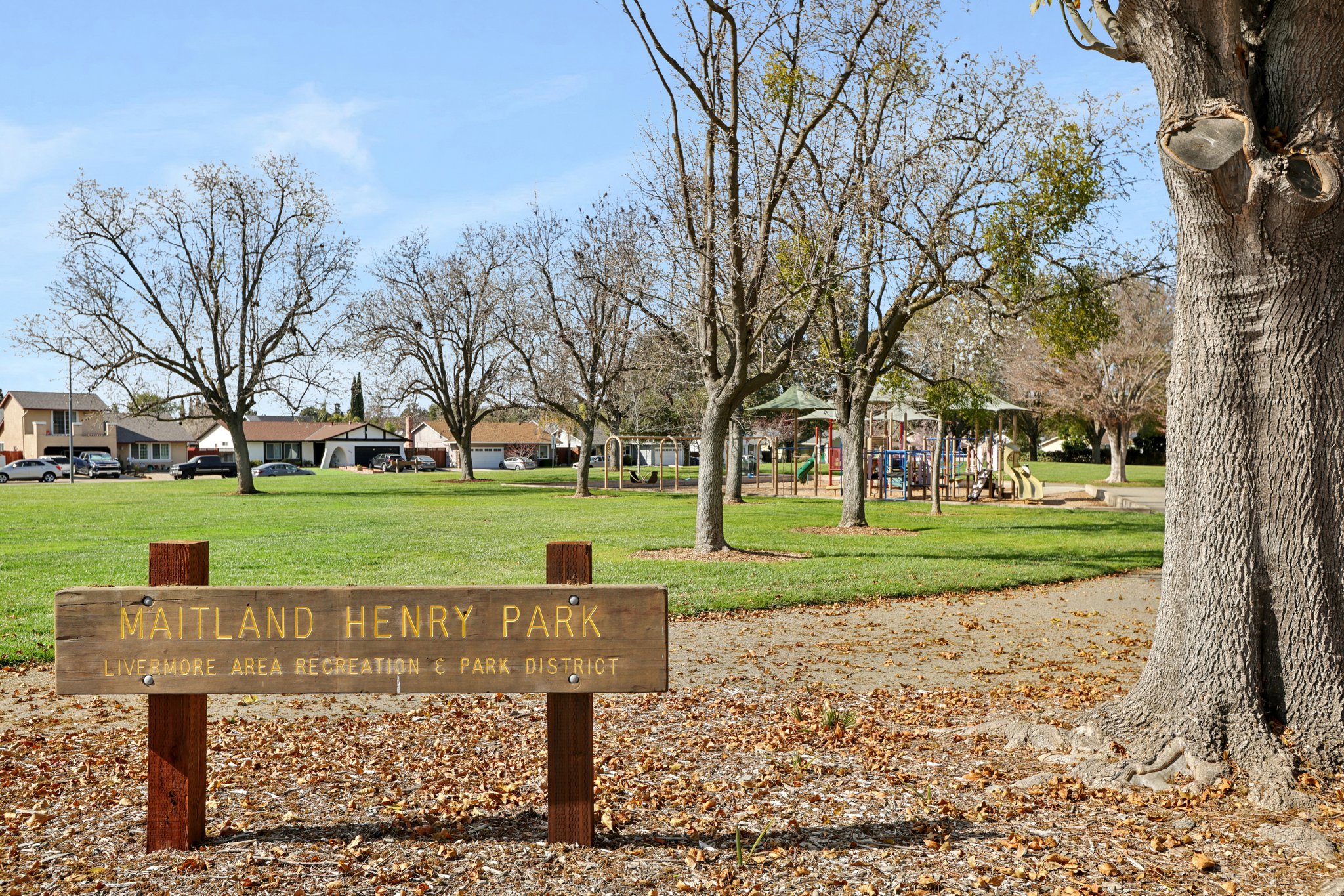 Del Norte Dr-2802-907.jpg