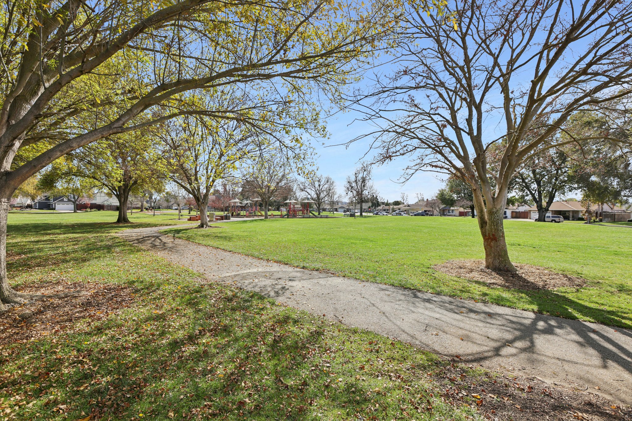 Del Norte Dr-2802-909.jpg