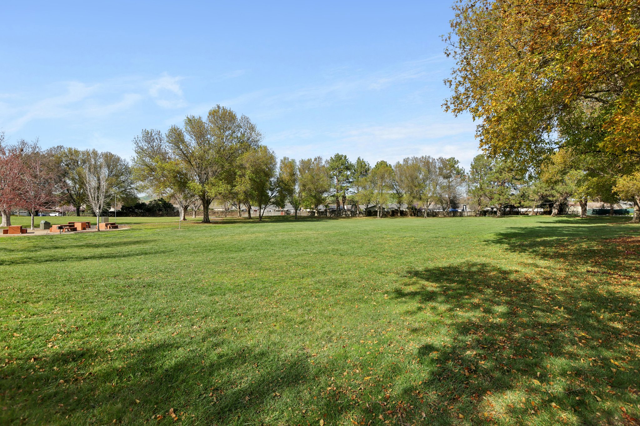 Del Norte Dr-2802-911.jpg