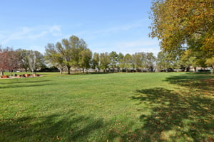 Del Norte Dr-2802-911.jpg