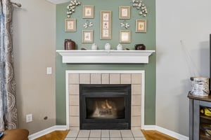 Gas Fireplace.jpg