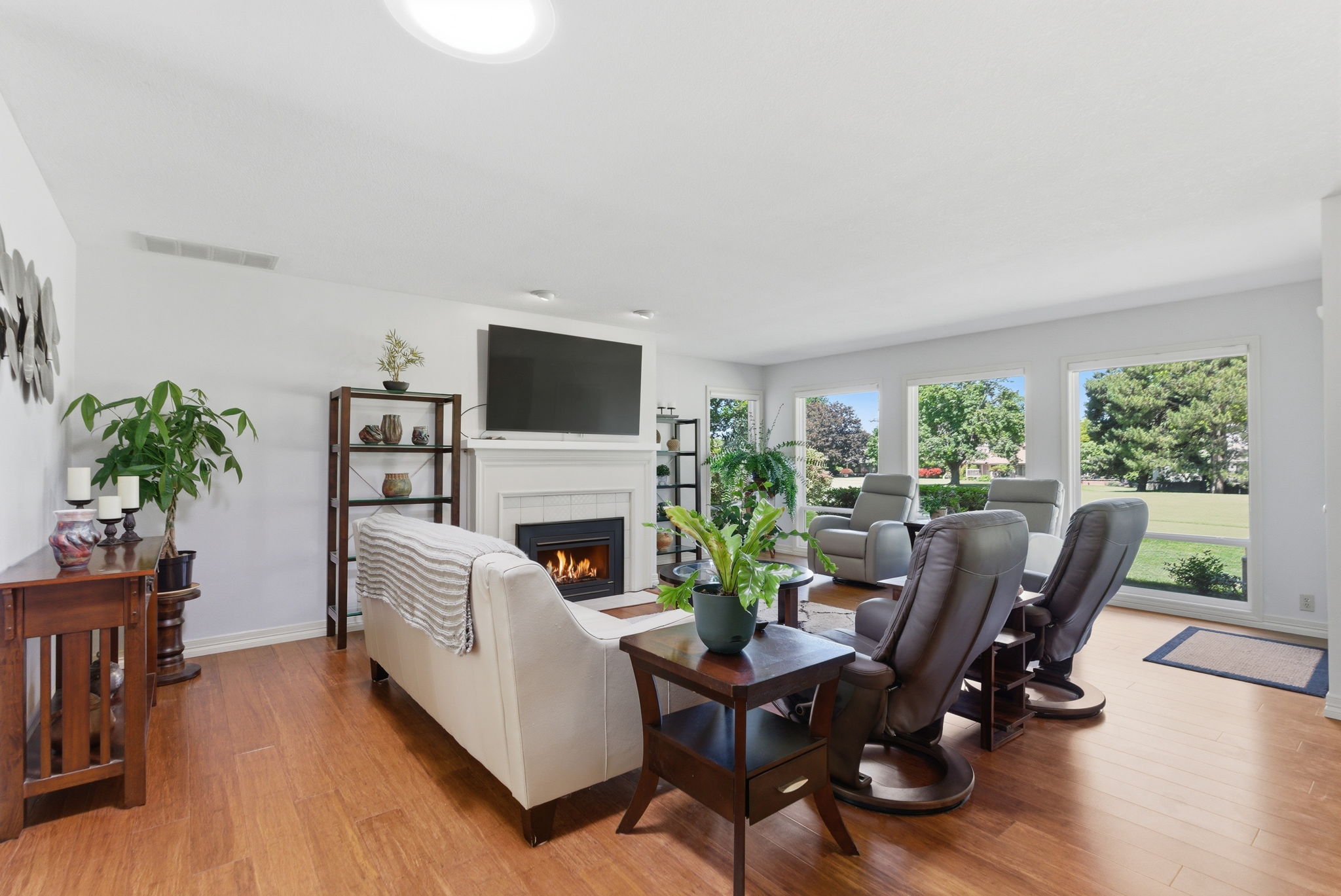 Living Room - Gas Fireplace