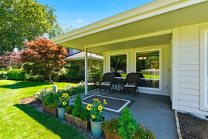 Covered Back Patio