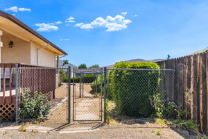 Backyard (2)