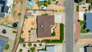 Birds Eye