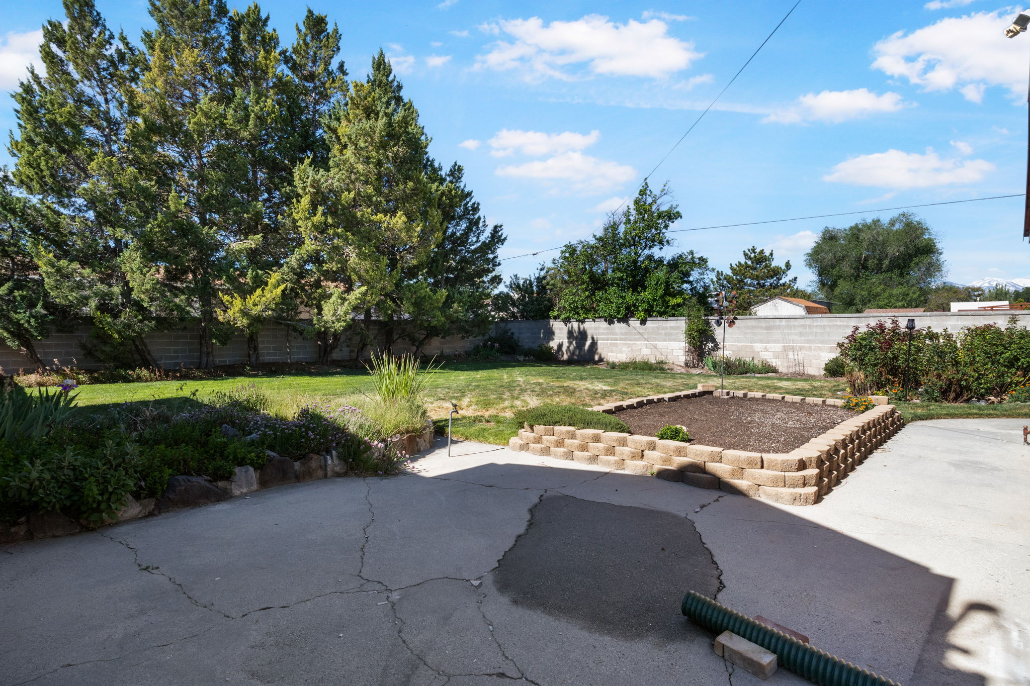 Back Yard-View #1-View from the bay window