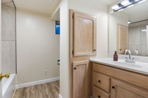 Basement Full Bath-View #1