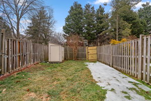 Fenced Rear Yard