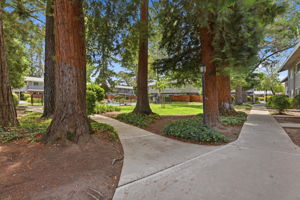 035_F8_7319 Starward Dr 44