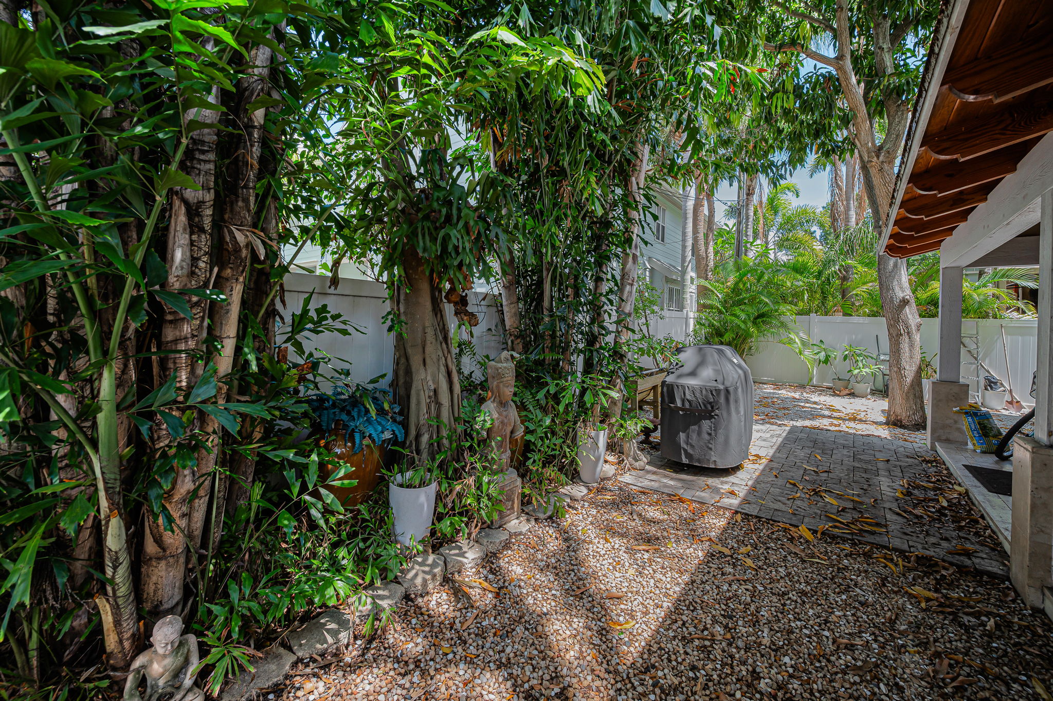Backyard5