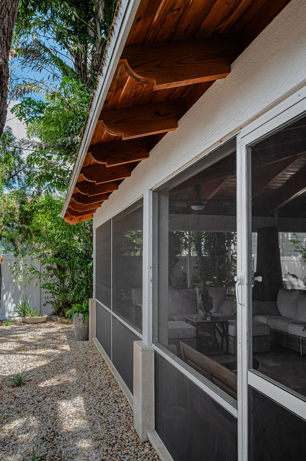 Backyard2