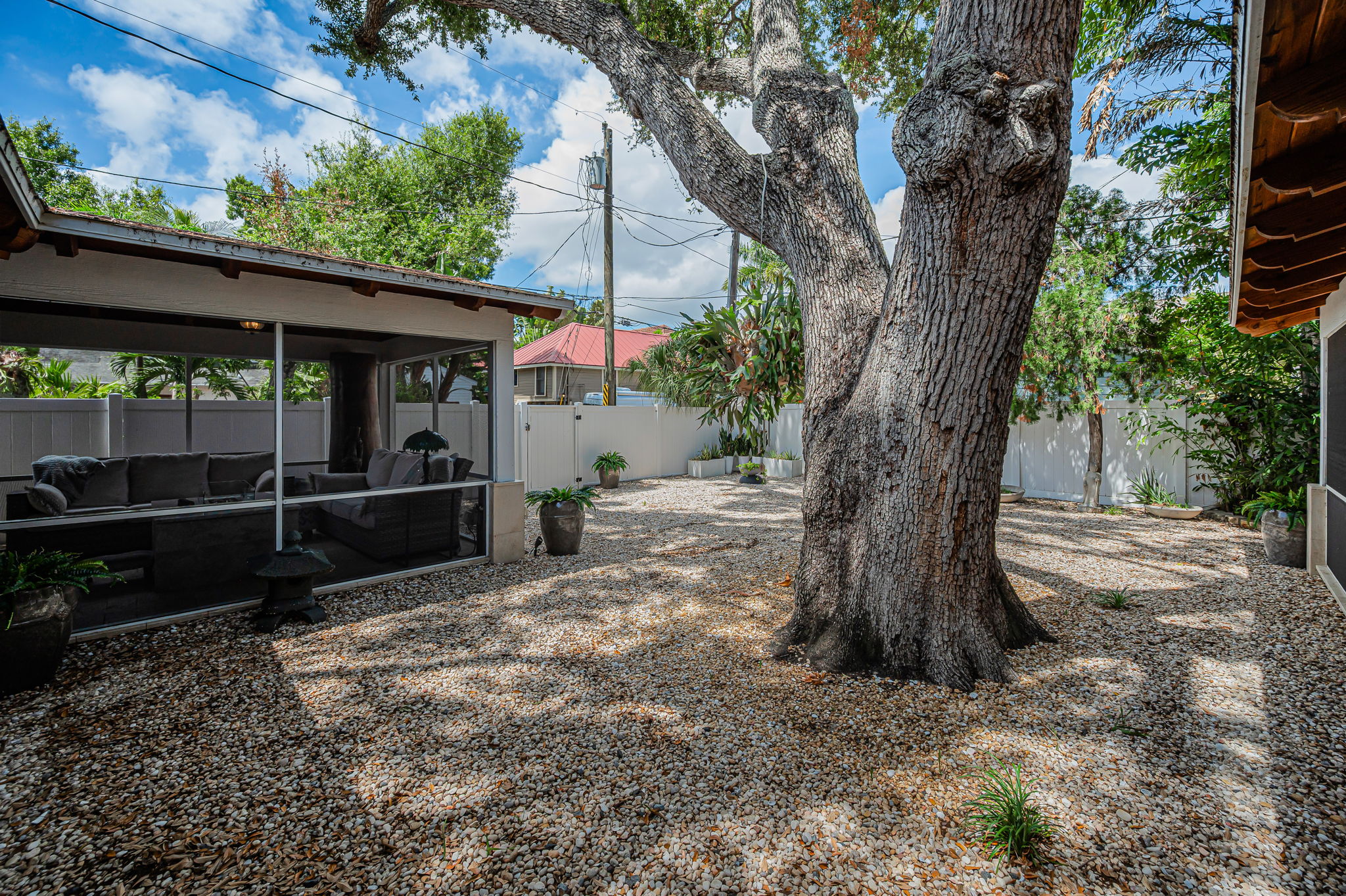 Backyard3