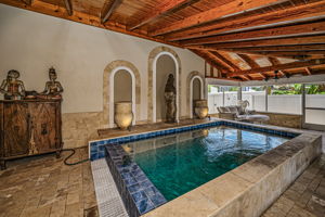 Patio and Pool4