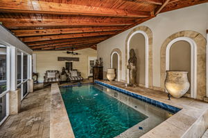 Patio and Pool6