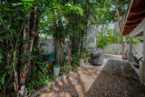 Backyard5