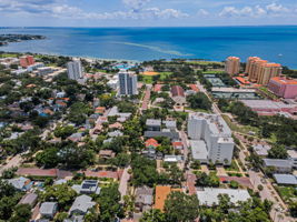 Aerial (13)