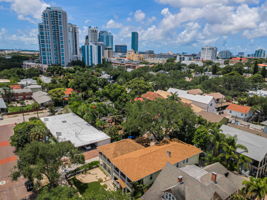 Aerial (14)