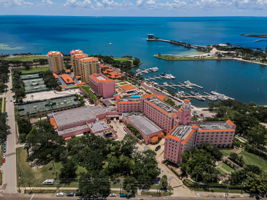 Aerial (8)