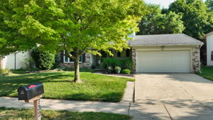  Photo 0
