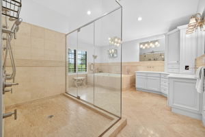 Primary Bathroom 1 of 3