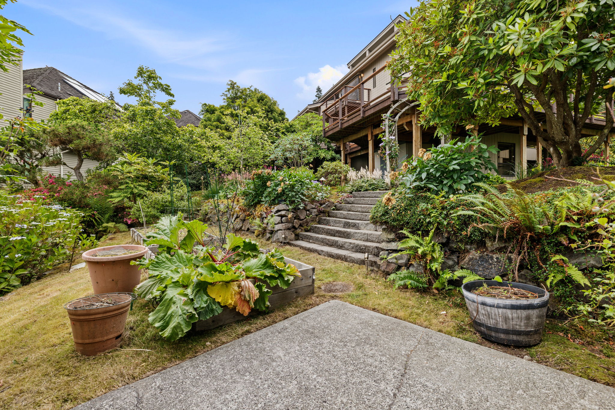 Back garden area