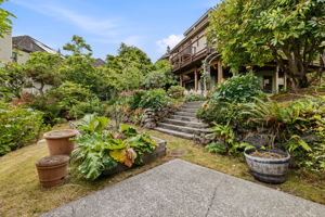 Back garden area