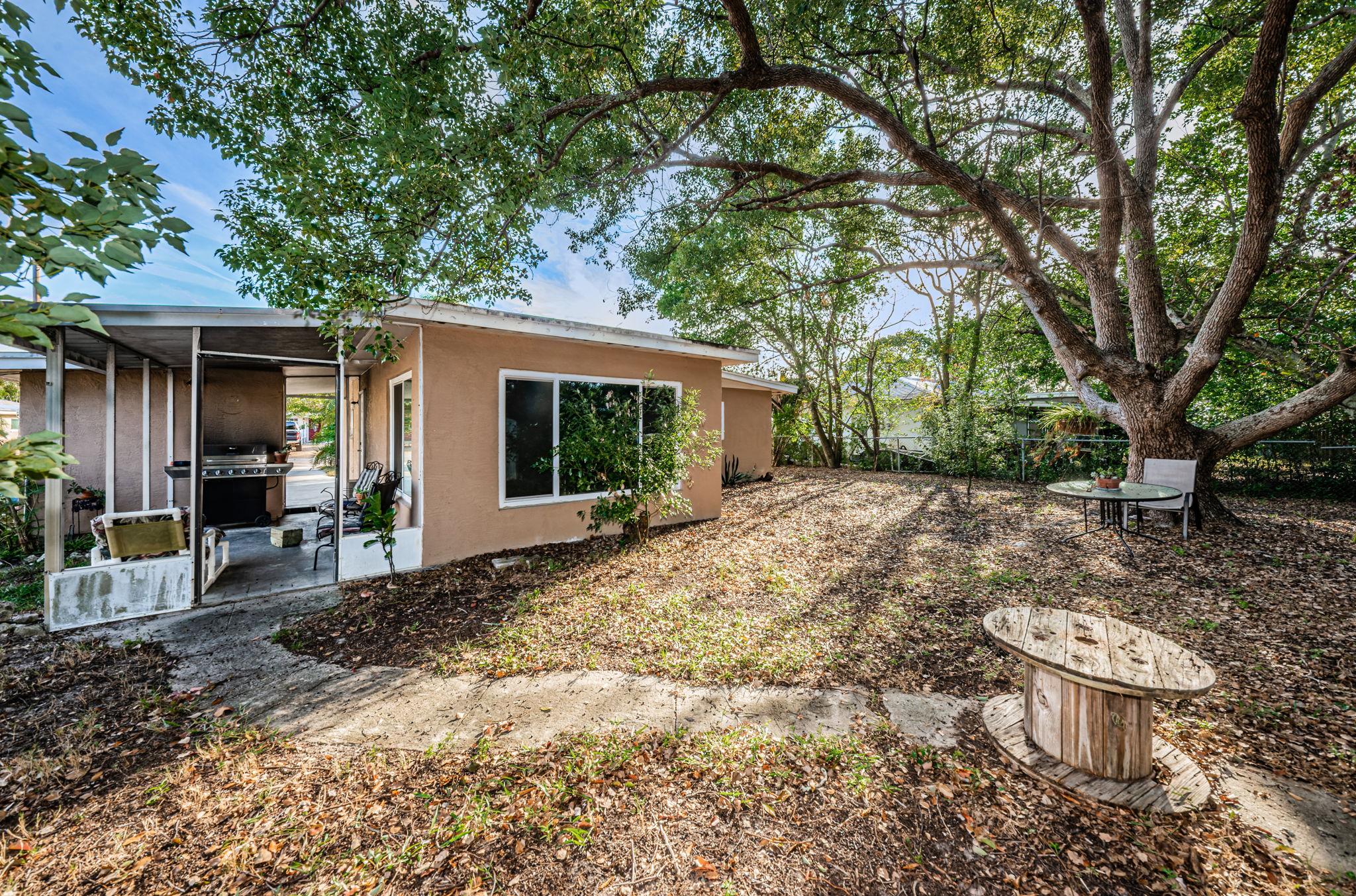 Backyard3