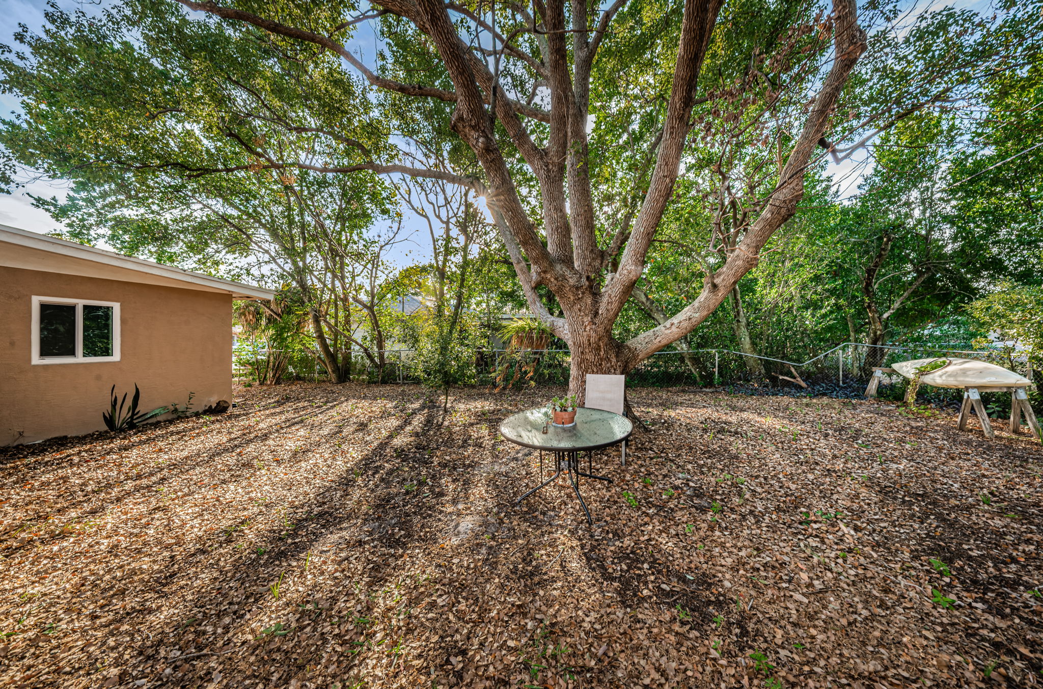 Backyard4
